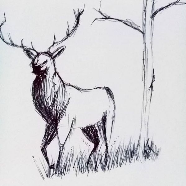 Premium Vector | Deer sketch hand drawn illustration converted to vector  black on transparent background