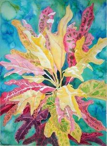 Burst of Crotons