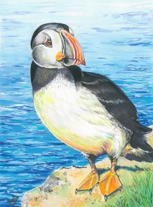 Puffin,Oh East Side