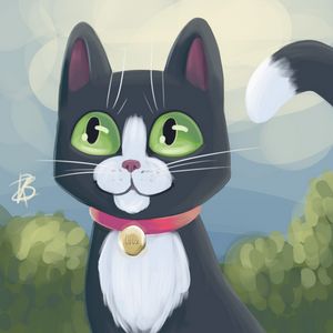 Tuxedo Kitty