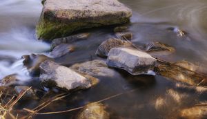 The Story of the Little Stream