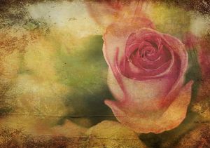 Vintage English Rose Bud
