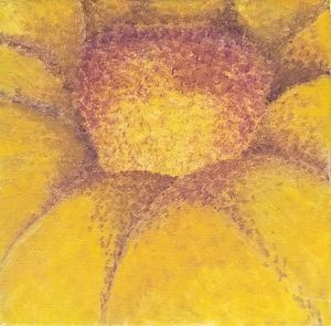 Sunflower Upclose