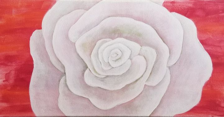 White Rose - laurenadilayart