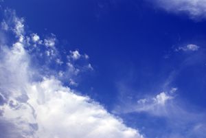Tender Sky