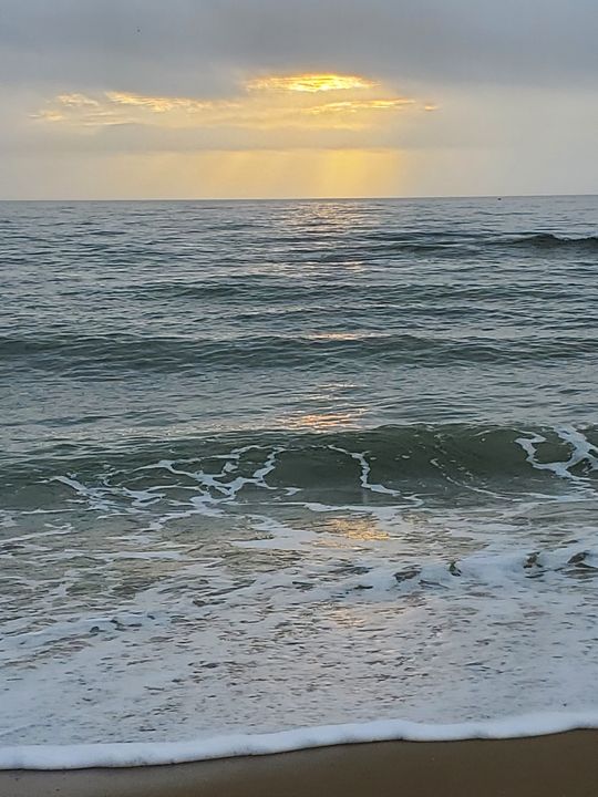 Seasalt Sunrise - Savannah Guenzi