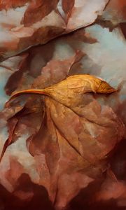 The leaf - Chris Bee ArtPhotography