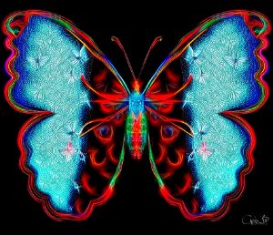 Magic butterfly