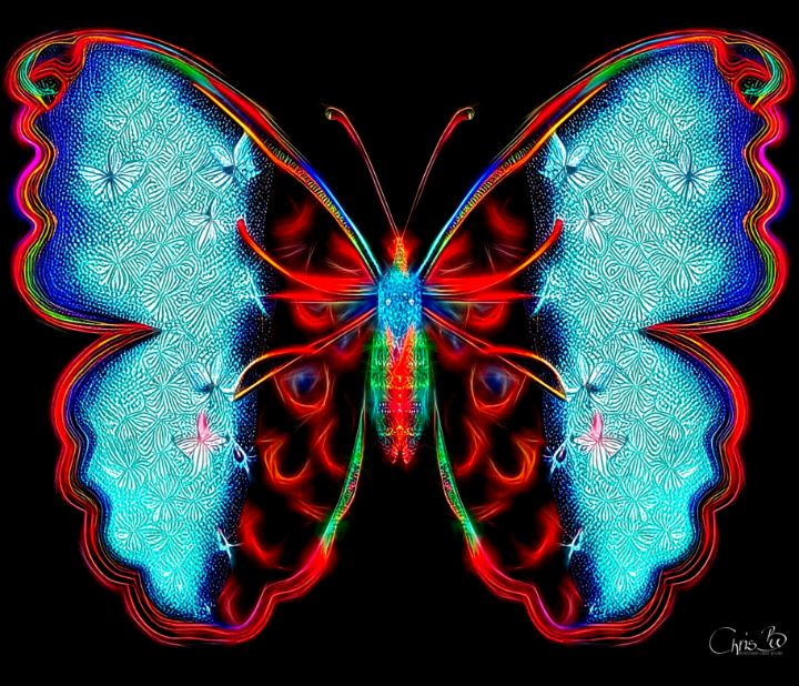 Magic butterfly - Chris Bee ArtPhotography