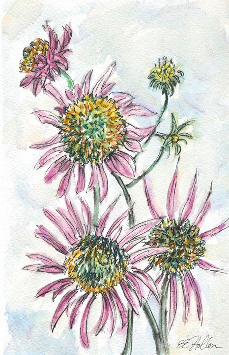 Pink Daisies - Erin Hollon Fine Art and Illustration - Paintings ...