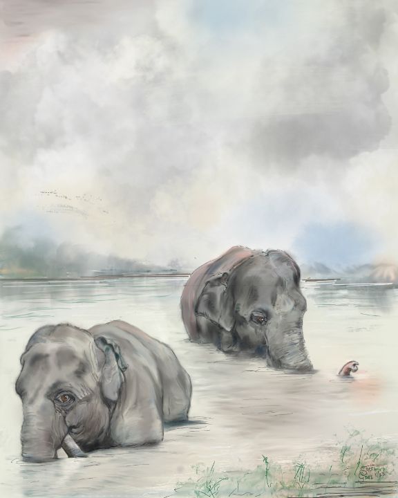 Elephants Bathing - Cheryl Graziano - Paintings & Prints, Animals