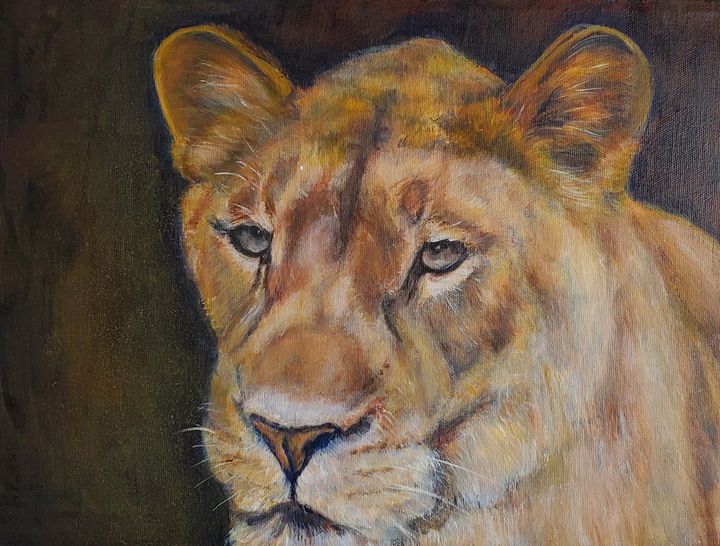 Watchful Eye of the Lioness - Cheryl Graziano