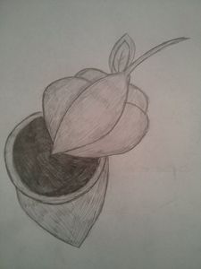 Composition drawing fruit... - Rakhi Art and Food Gallery | Facebook