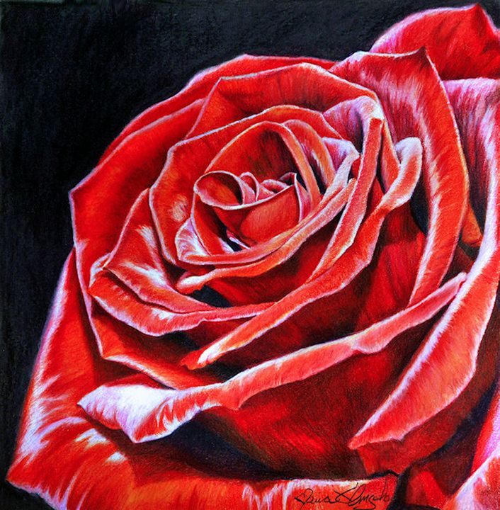 Red Rose - Maria D'Angelo - Fine Art