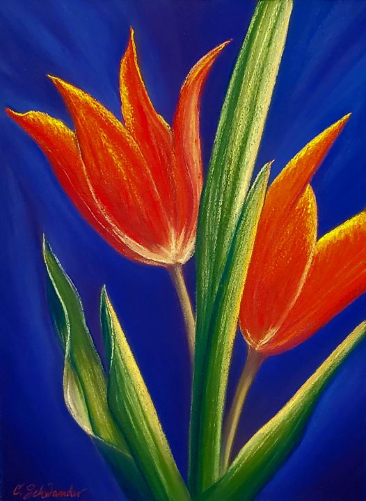 Tulip Joy - Christine Schwander - Paintings & Prints, Flowers