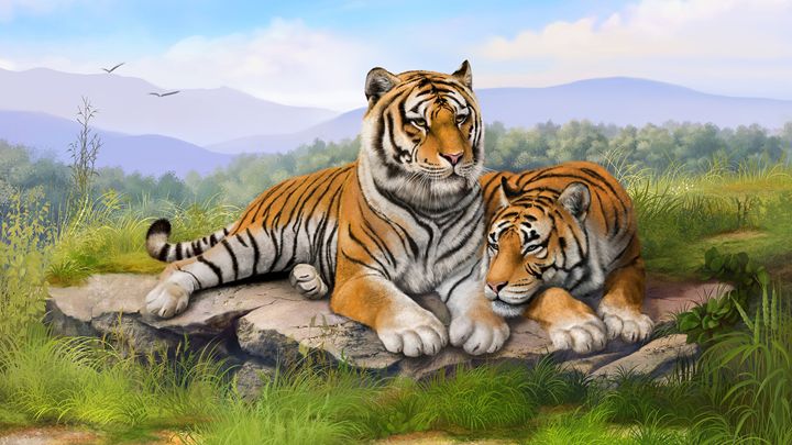 Tiger - 3D Elements - Photography, Animals, Birds, & Fish, Wild