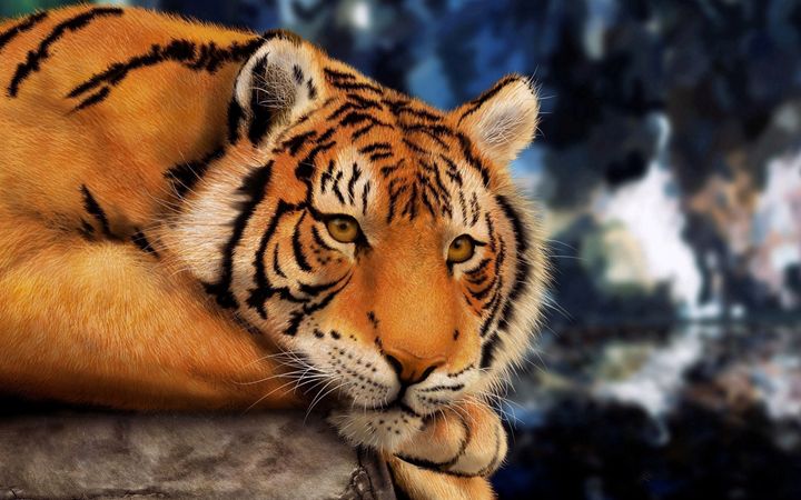 Royal Bengal Tiger 3d art with white background