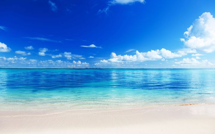 Tropical Beach - 3D Elements