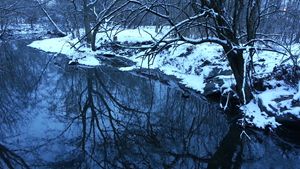 Winter Creek Reflection