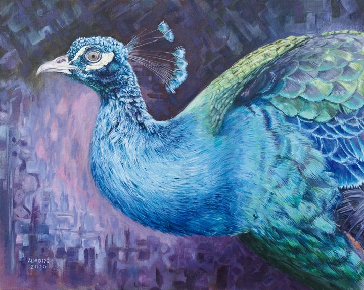 Peacock - André Mata