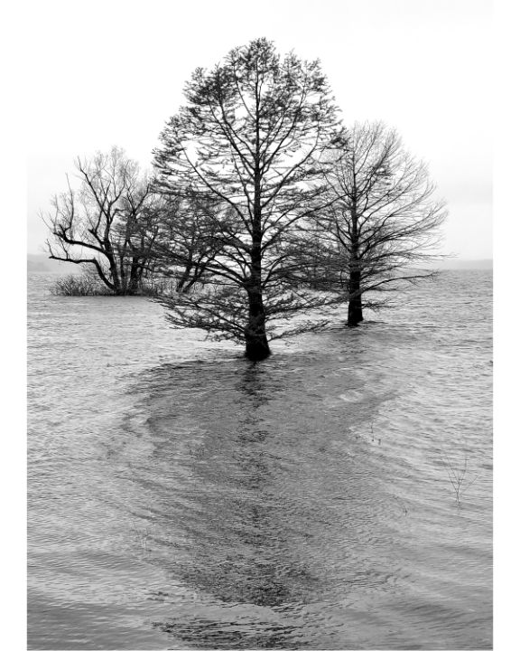 Stoic Karin Ebbesson Photography Landscapes Nature Other stoic-karin-ebbesson-photography-landscapes-nature-other