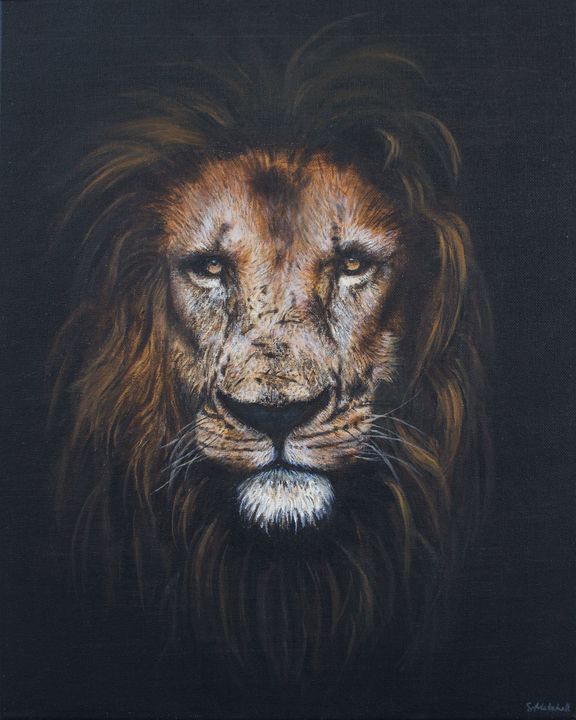 African Lion - Mariposa Paintings