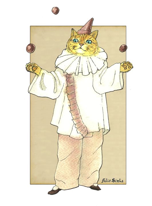 Clown Cat - Felis Simha