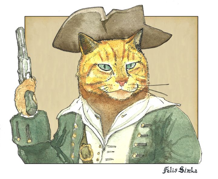 Pirate Orange - Felis Simha