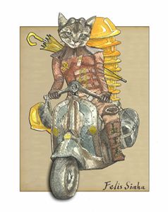 Moto Cat