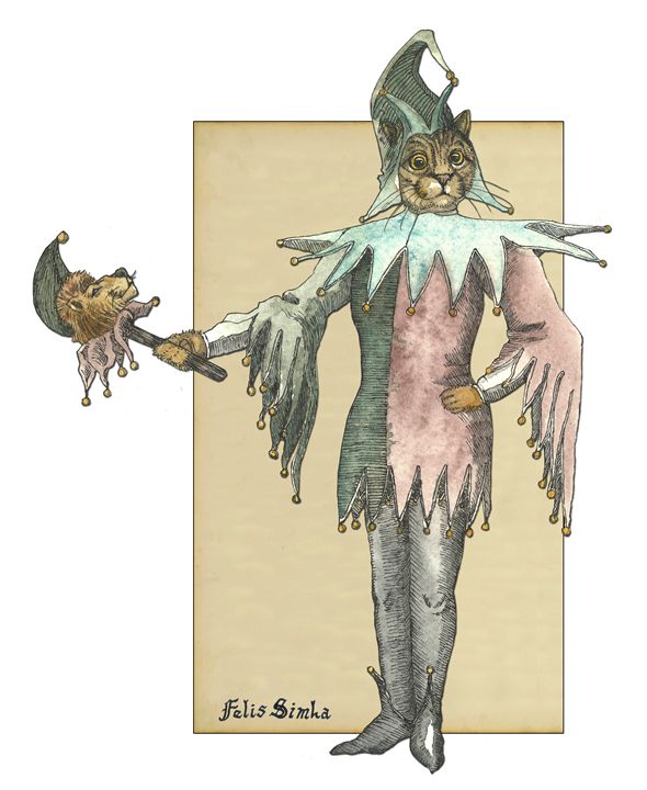 Clown Cat - Felis Simha