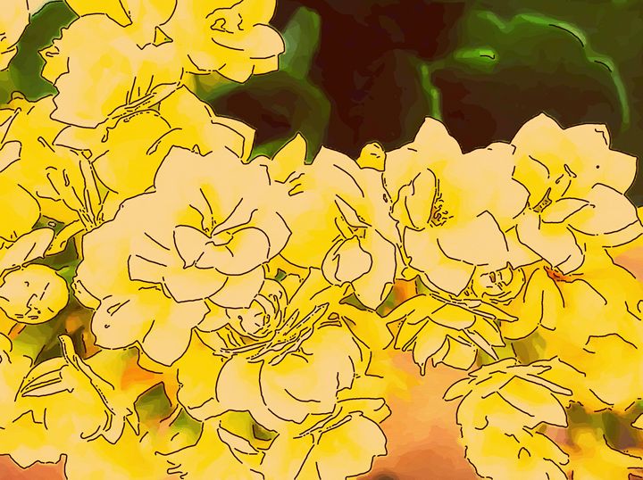 Yellow flower of kalanchoe CLA Drawings & Illustration, Flowers