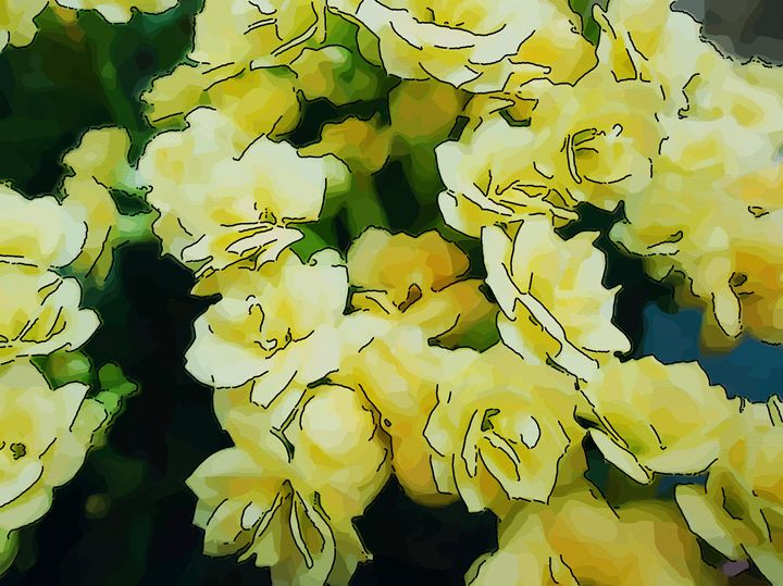 Yellow flower of kalanchoe - CLA