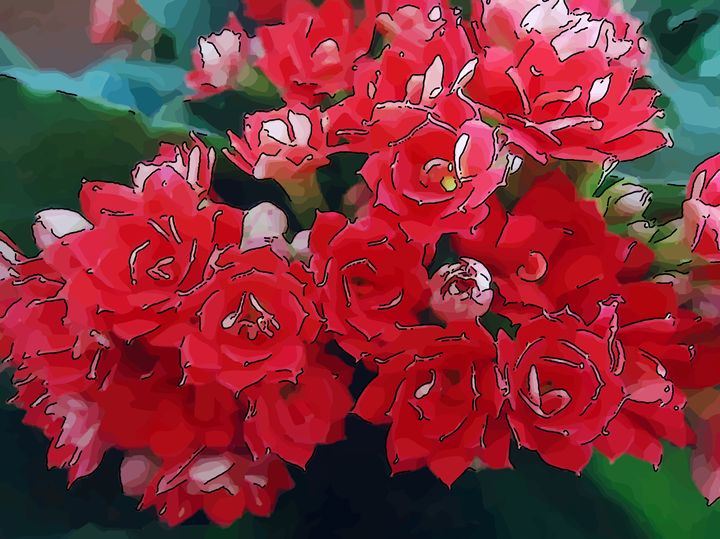 Red flowers - Kalanchoe - CLA