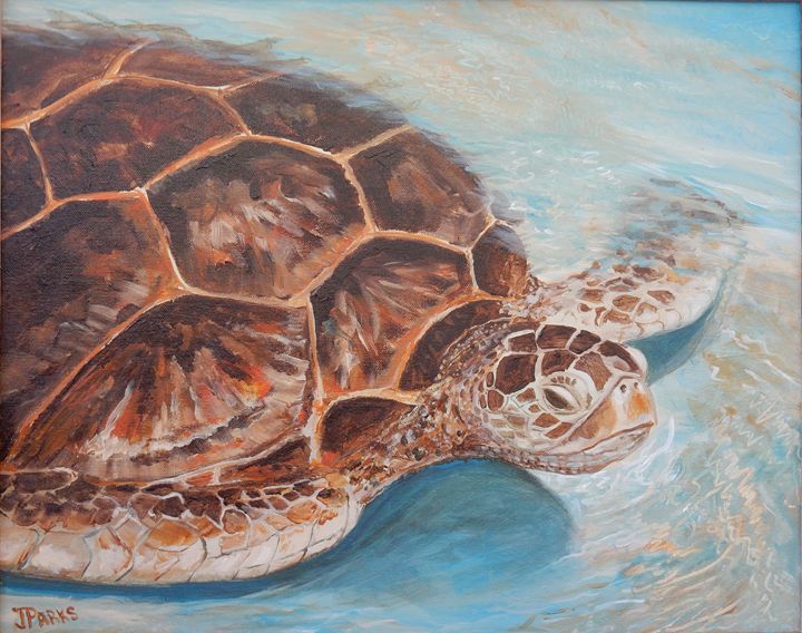 Sea Turtle - Joy Parks Coats Art