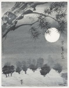 Moon Light Pine