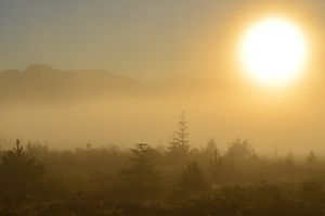 Morning Warmth