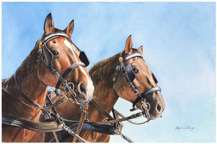 Pair of Clydesdales - Byron Chaney's Illustration and Design
