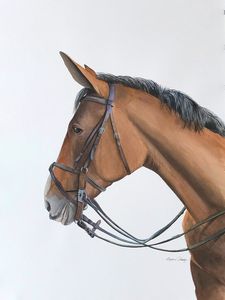 Horse Portrait - Byron Chaney's Illustration and Design