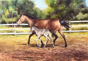 Horse and Pony Trotting - Byron Chaney's Illustration and Design