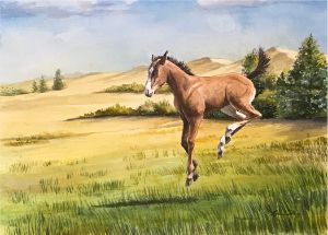 Jumping Pony - Byron Chaney's Illustration and Design