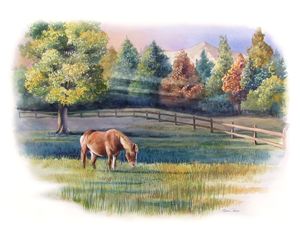 Waxhaw Horse - Byron Chaney's Illustration and Design