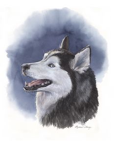 Siberian Husky Portrait - Byron Chaney's Illustration and Design