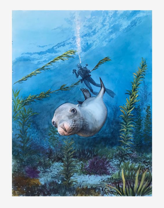 Swimming with a Seal - Byron Chaney's Illustration and Design