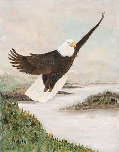 An Eagle Soaring
