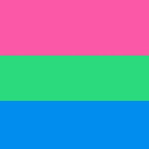 Polysexual flag