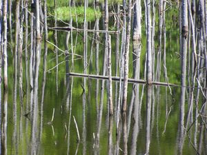 Marsh along Highway 27, WI - Artistic Photos by Terry Baumgartner