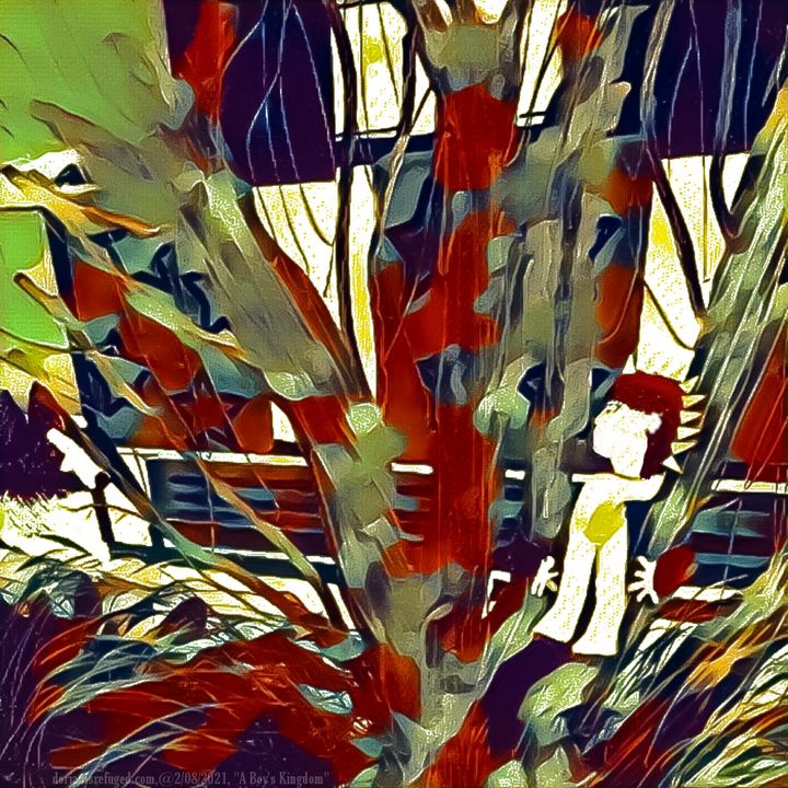 A Boy's Kingdom - Refuged