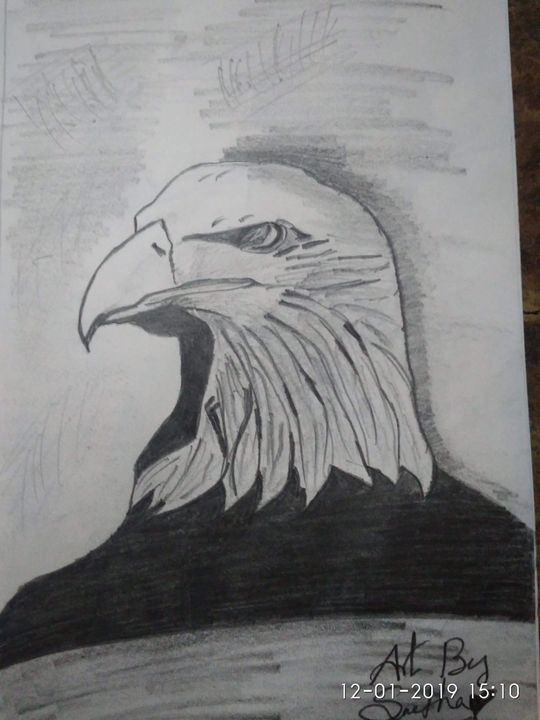 Eagle - Sweuma