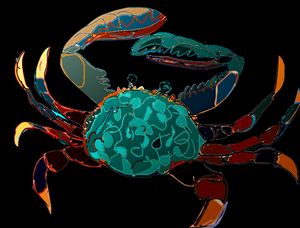 Colourful Crab Artwork