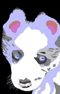 Blue Merle Puppy Art